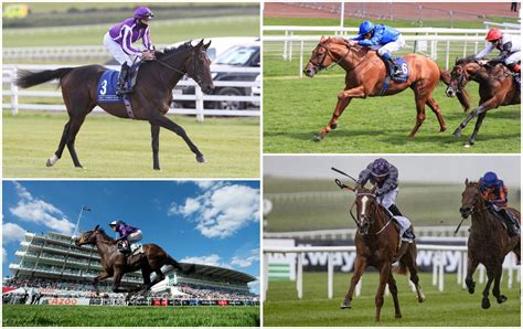 2021 Irish Derby at the Curragh: the runners, the odds, the verdict.
